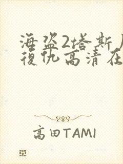海盗2塔斯尼帝复仇高清在线