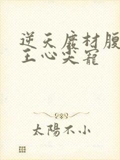 逆天废材腹黑邪王心尖宠封面