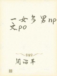 一女多男np爽文po