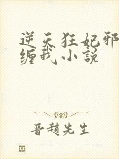 逆天狂妃邪王别缠我小说