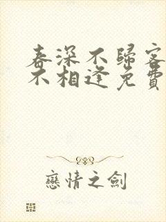春深不归客清梦不相逢免费观看