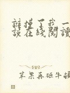 谁摸了我一下小说在线阅读