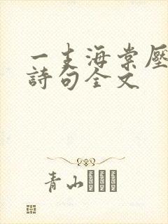 一支海棠压梨花诗句全文