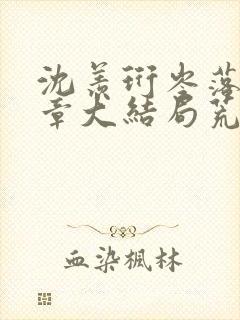 沈羡珩岑落20章大结局荒夜封面