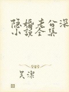 隐婚老公深夜来小说全集