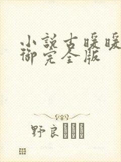 小说古暖暖江尘御完全版