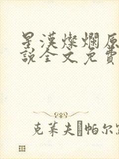 星汉灿烂原著小说全文免费阅读封面
