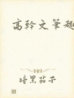 高干文笔趣阁封面