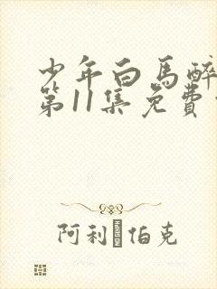 少年白马醉春风第11集免费观看封面