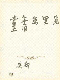 当年万里觅封侯主角
