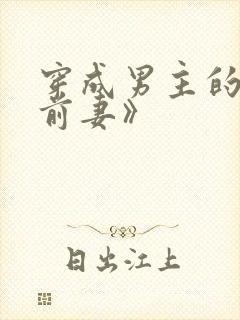 穿成男主的炮灰前妻》