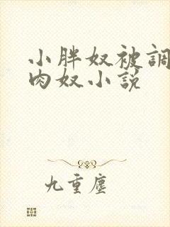 小胖奴被调教成肉奴小说