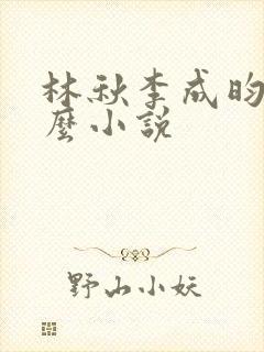 林秋李成昀是什么小说封面