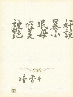 被催眠暴奸的冷艳美母小说