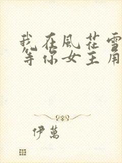 我在风花雪月里等你女主角封面