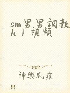 sm男男调教〈h丿视频