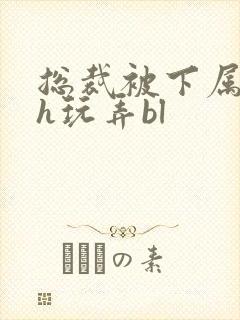 总裁被下属调教h玩弄bl封面