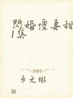 闪婚傻妻甜又野1集