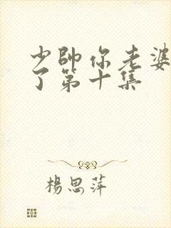 少帅你老婆又跑了第十集