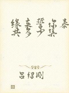 缘来誓你泰剧一共多少集