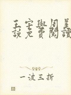 王宇与周美琴小说免费阅读