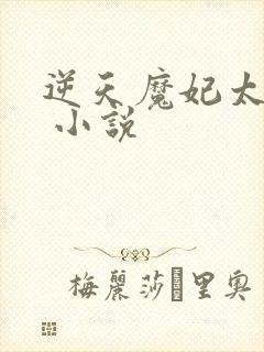 逆天魔妃太惹火 小说封面