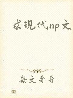 求现代np文封面