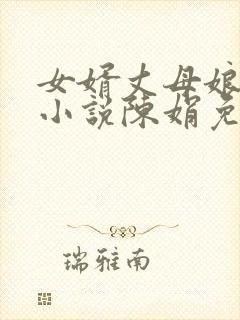女婿丈母娘言情小说陈娟免费阅读