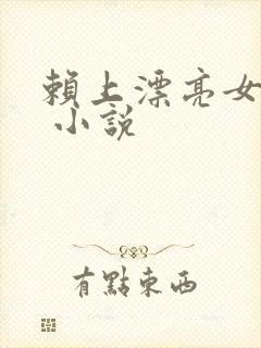 赖上漂亮女总裁 小说