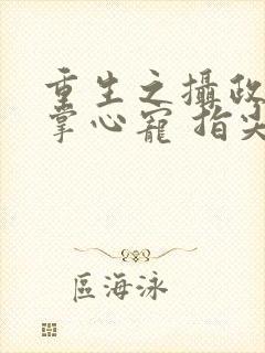 重生之摄政王的掌心宠 指尖方寸