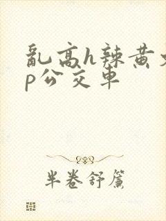 乱高h辣黄文np公交车