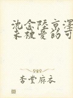 沈念陆京泽《从未被爱的可怜人》
