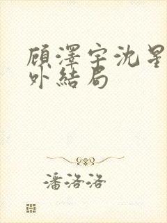 顾泽宇沈星晚番外结局