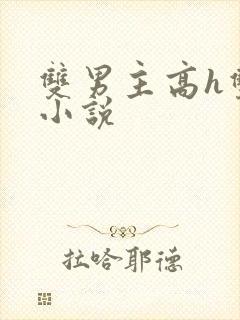 双男主高h双性小说