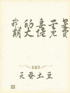 我的妻子是大乘期大佬免费阅读全