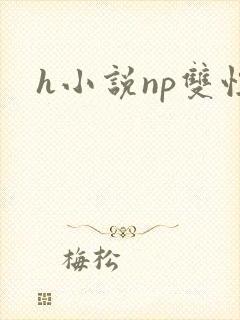 h小说np双性封面