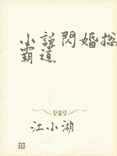 小说闪婚总裁太霸道封面