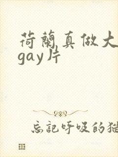荷兰真做大尺度gay片