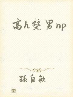 高h双男np