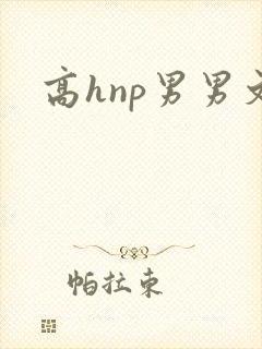 高hnp男男文封面