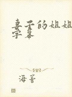 妻子的姐姐中文字幕封面