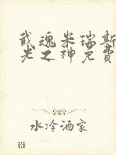 武魂米瑞斯我为光之神免费封面