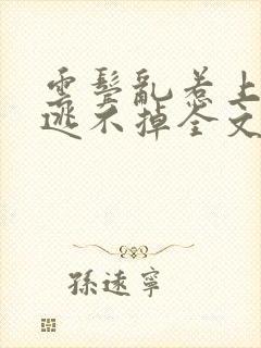 云鬓乱惹上权臣逃不掉全文版