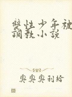 双性少年被主人调教小说封面