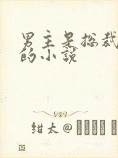 男主是总裁姓沈的小说