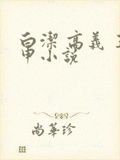 白洁 高义 王申小说