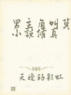 男主角叫莫问的小说修真