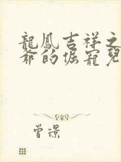 龙凤吉祥之四王爷的倔宠儿小说