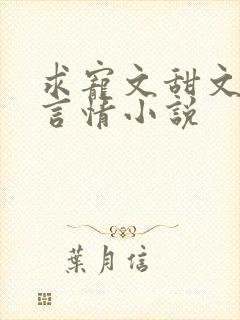 求宠文甜文现代言情小说封面