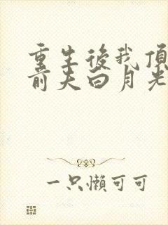 重生后我顶替了前夫白月光原著作者封面